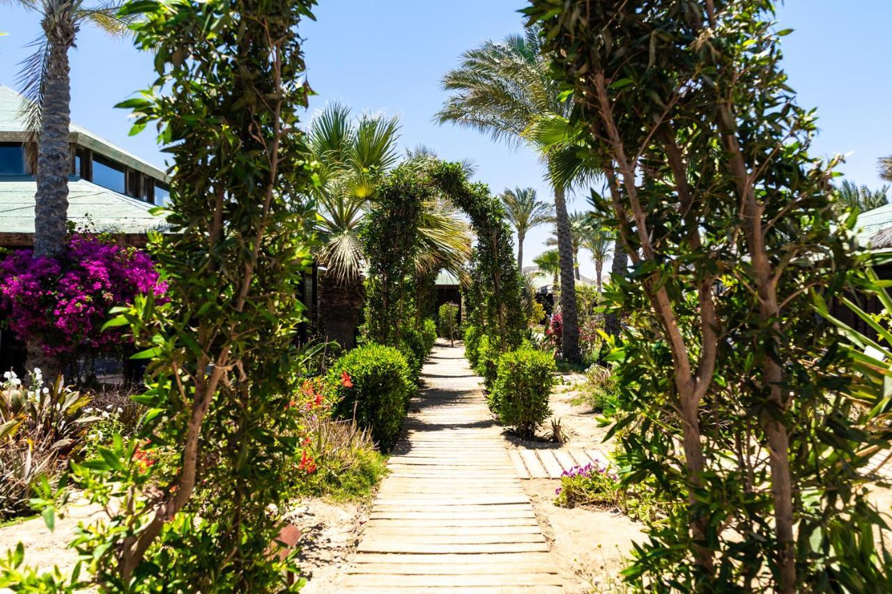 Abu Dabbab Lodge Exterior photo